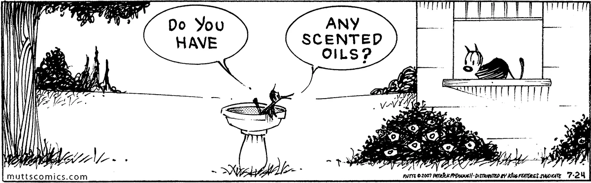 July 24 2007, Daily Comic Strip