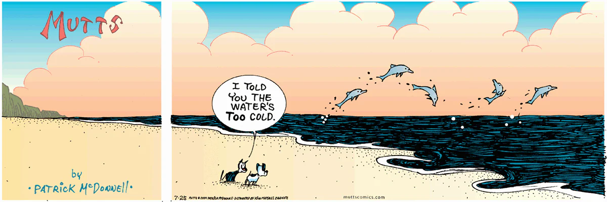 July 25 2004, Sunday Comic Strip