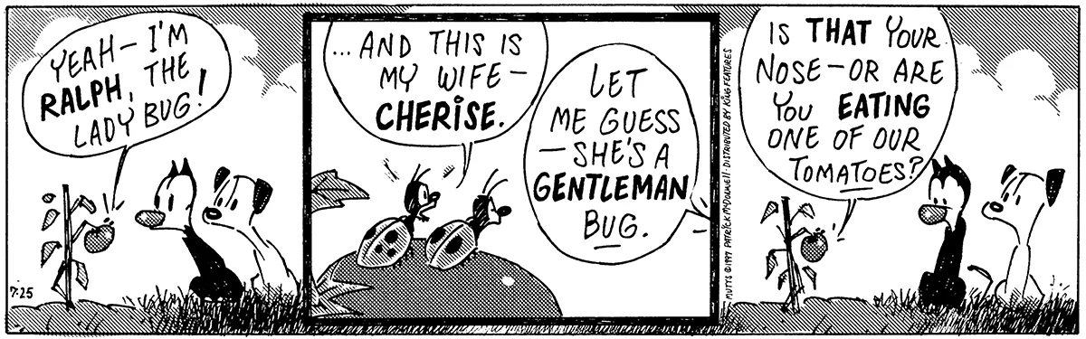 July 25 1997, Daily Comic Strip