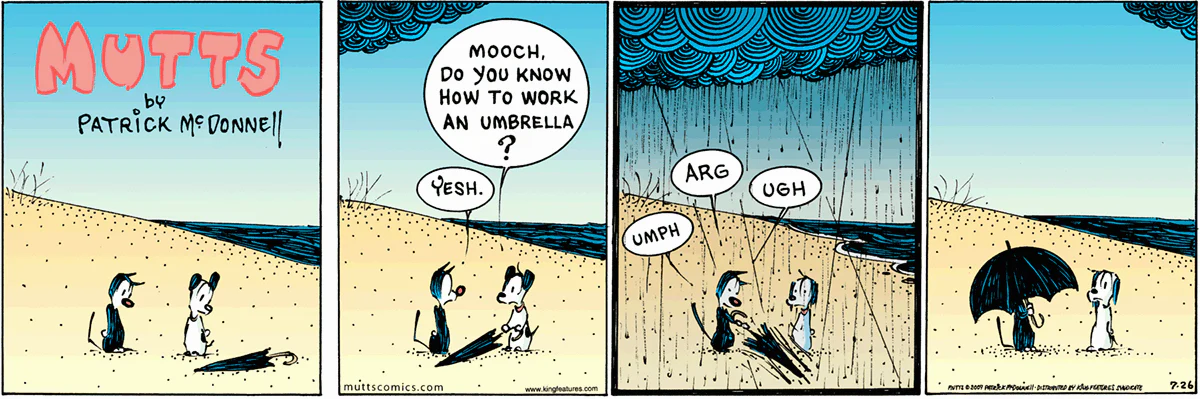 July 26 2009, Sunday Comic Strip