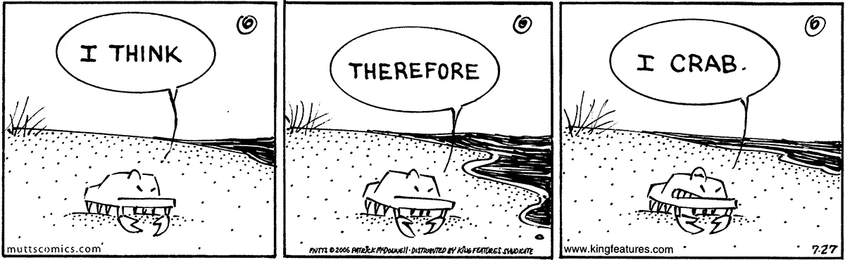 July 27 2006, Daily Comic Strip