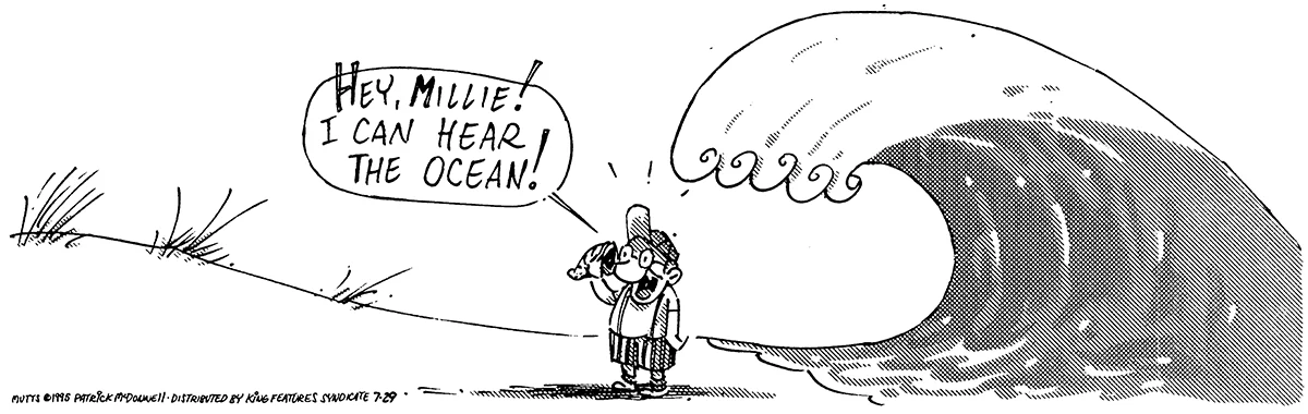 July 29 1995, Daily Comic Strip