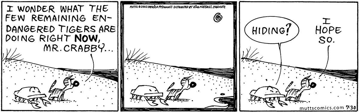 July 30 2003, Daily Comic Strip