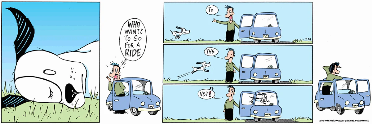 July 30 1995, Sunday Comic Strip