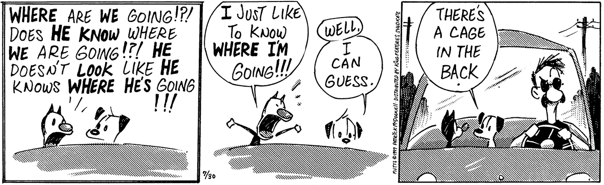 July 30 1997, Daily Comic Strip