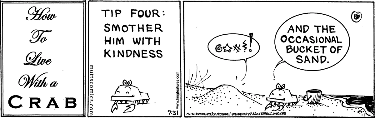 July 31 2008, Daily Comic Strip