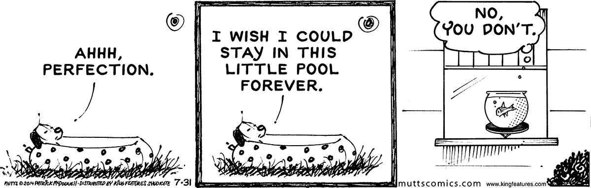 July 31 2014, Daily Comic Strip