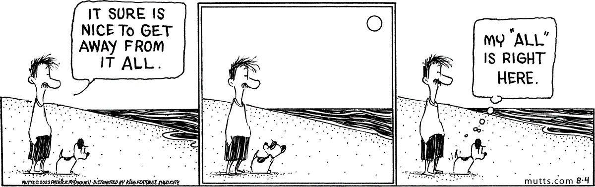 August 4 2023, Daily Comic Strip