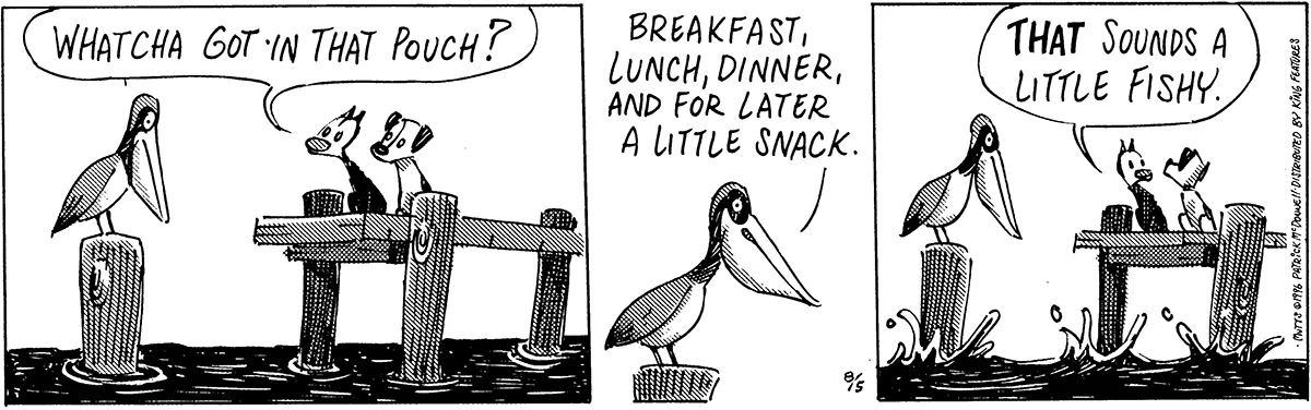 August 5 1996, Daily Comic Strip