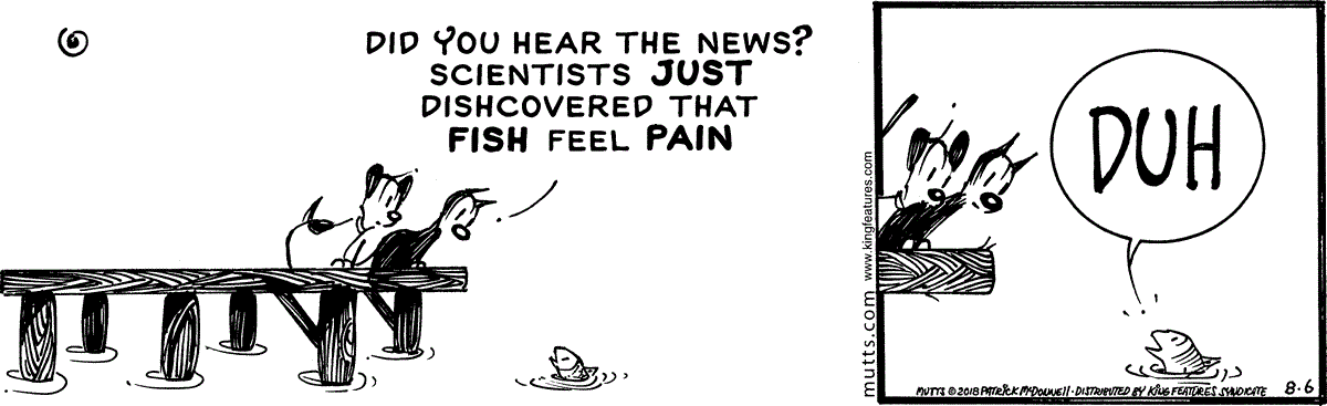 August 6 2018, Daily Comic Strip