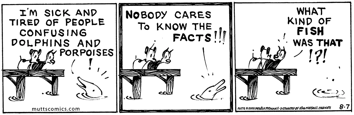 August 7 2008, Daily Comic Strip