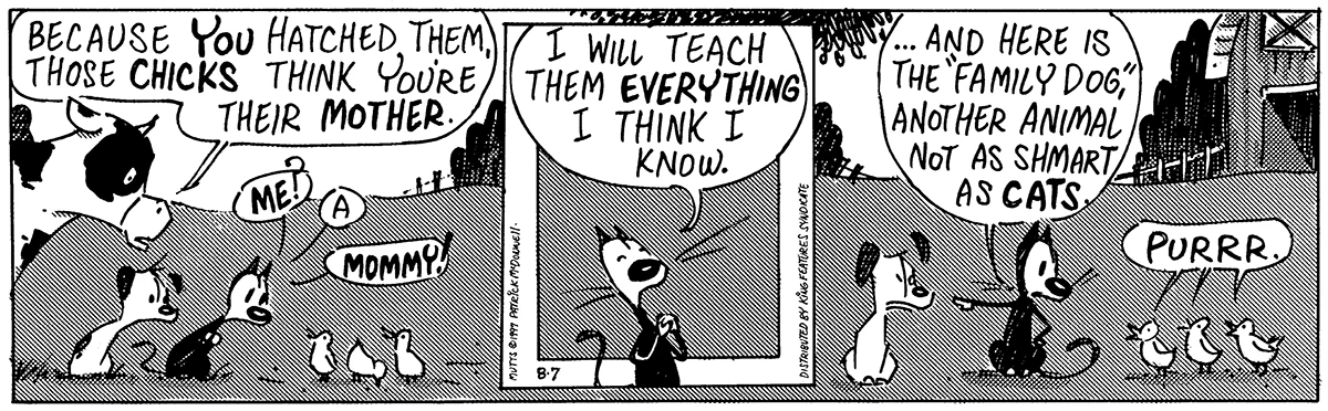 August 7 1997, Daily Comic Strip