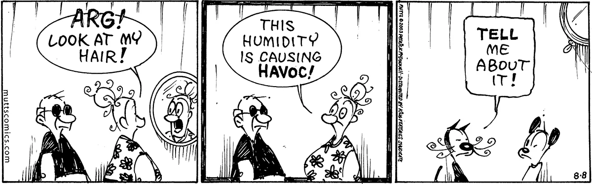 August 8 2003, Daily Comic Strip