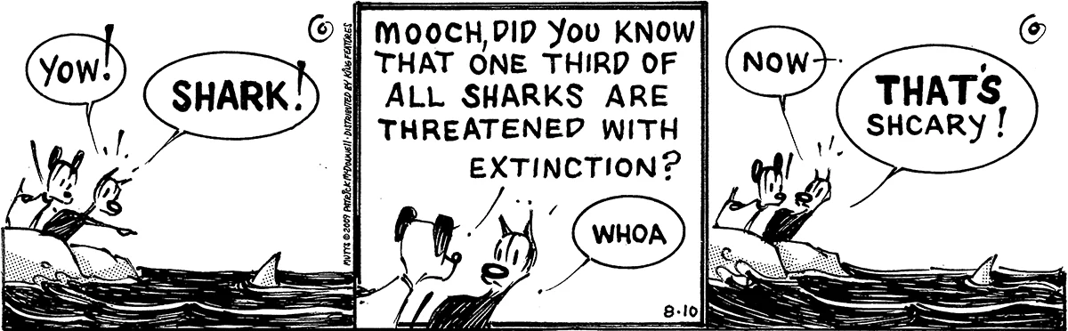 August 10 2009, Daily Comic Strip