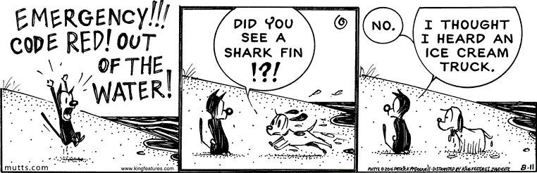 August 11 2016, Daily Comic Strip