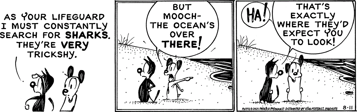 August 11 2021, Daily Comic Strip