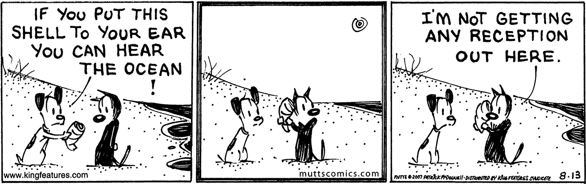 August 13 2007, Daily Comic Strip