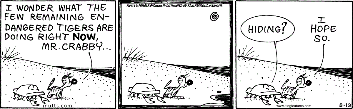 August 13 2025, Daily Comic Strip