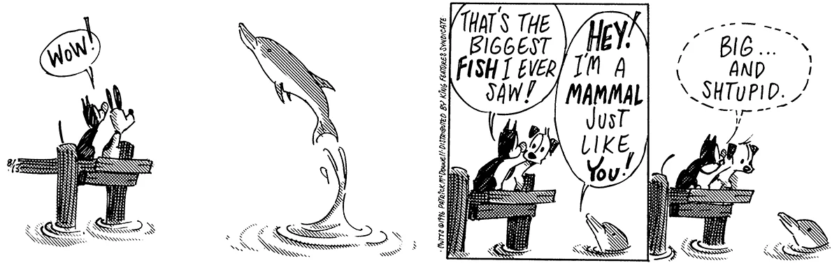 August 13 1996, Daily Comic Strip