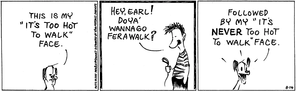 August 14 2001, Daily Comic Strip