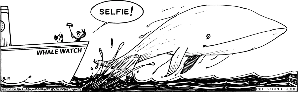 August 14 2015, Daily Comic Strip