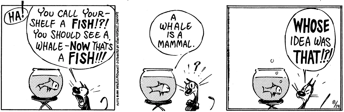 August 14 1999, Daily Comic Strip