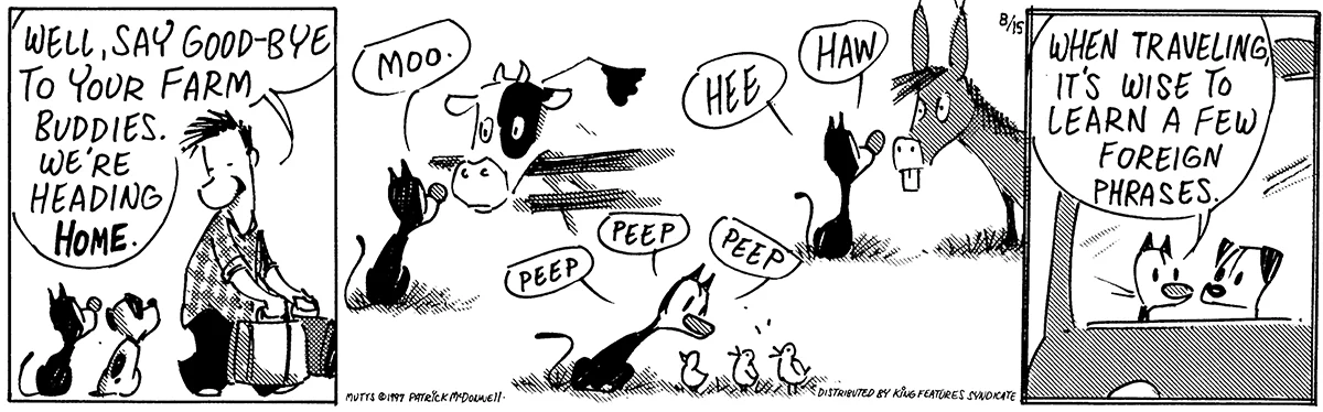 August 15 1997, Daily Comic Strip