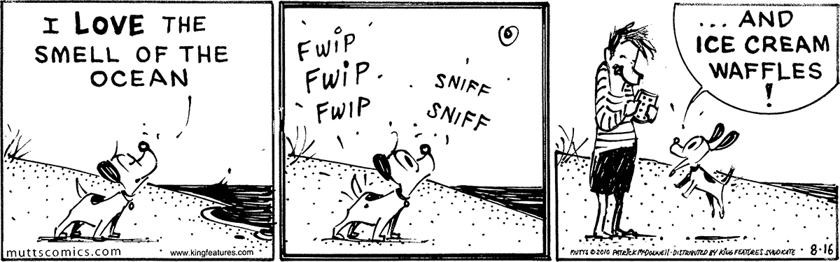 August 16 2010, Daily Comic Strip