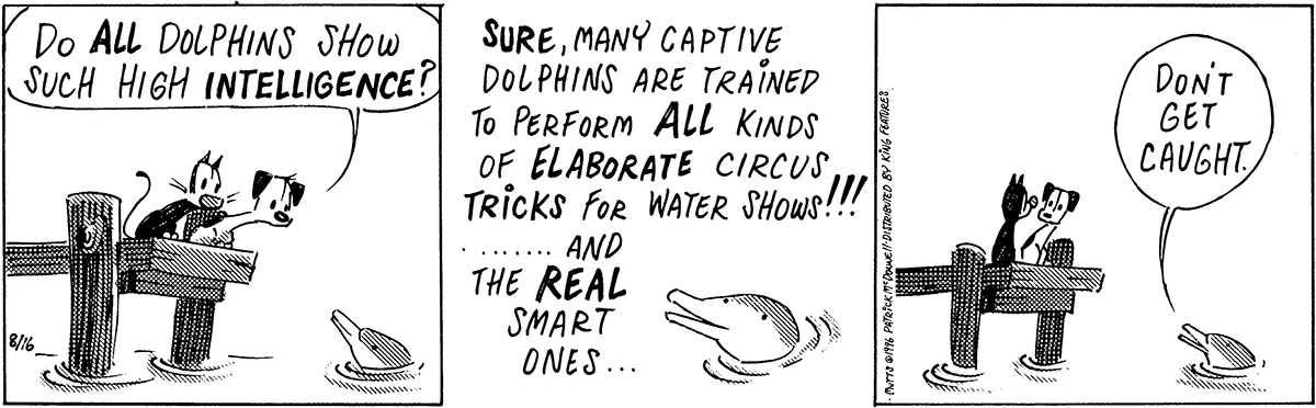 August 16 1996, Daily Comic Strip