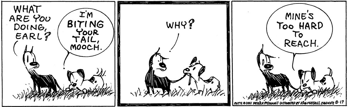 August 17 2001, Daily Comic Strip