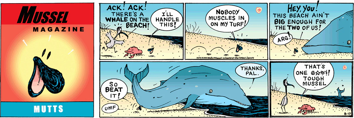 August 17 2008, Sunday Comic Strip