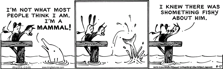 August 17 2016, Daily Comic Strip