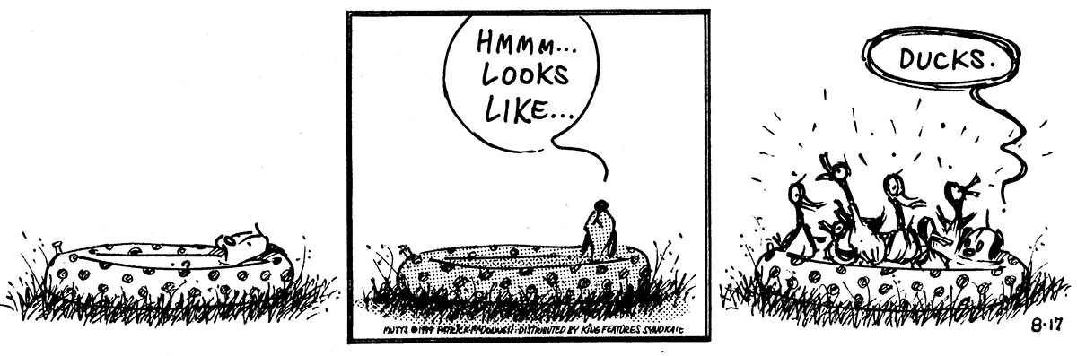August 17 1999, Daily Comic Strip