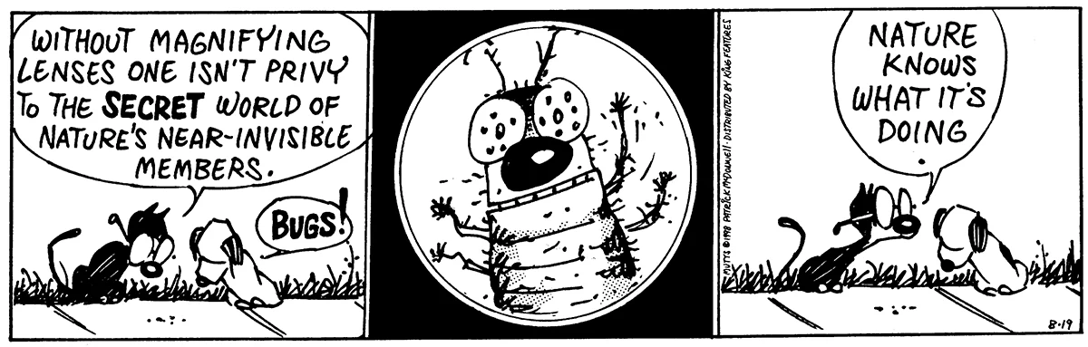August 19 1998, Daily Comic Strip
