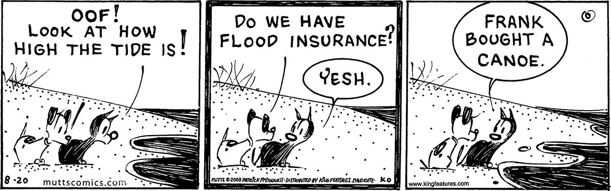 August 20 2008, Daily Comic Strip