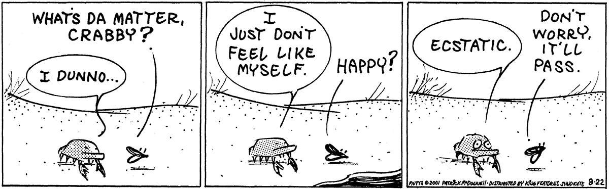 August 22 2001, Daily Comic Strip