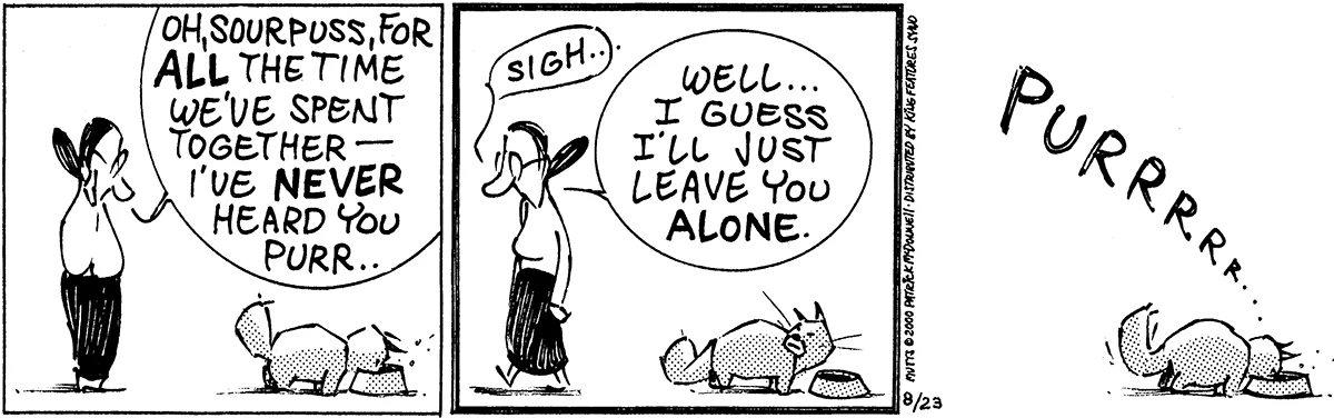 August 23 2000, Daily Comic Strip