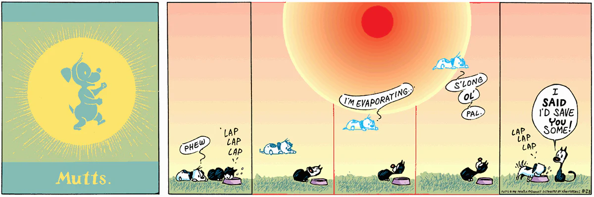August 23 1998, Sunday Comic Strip