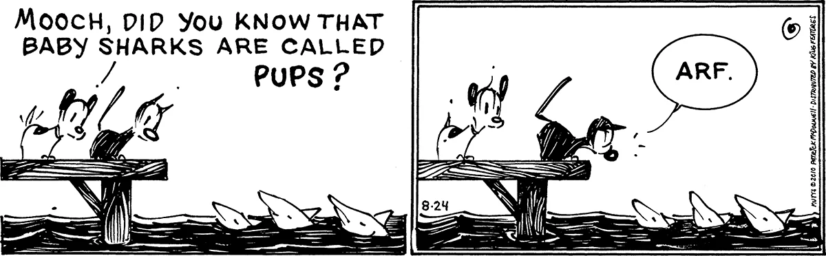 August 24 2010, Daily Comic Strip