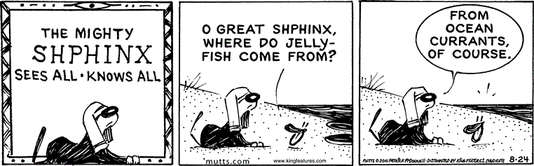 August 24 2016, Daily Comic Strip