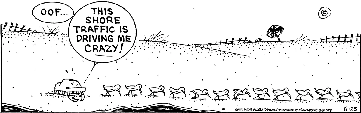 August 25 2007, Daily Comic Strip