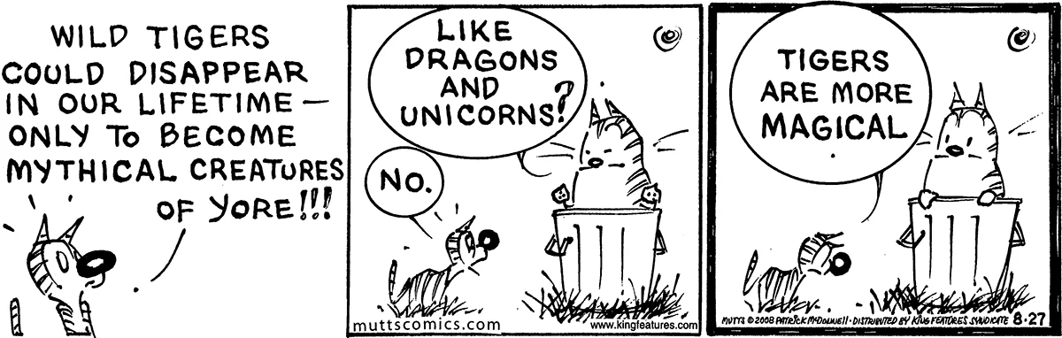 August 27 2008, Daily Comic Strip