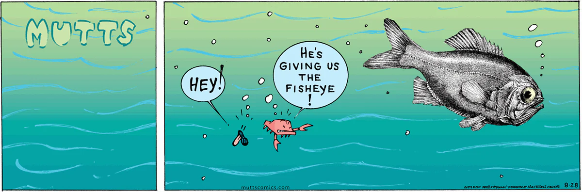 August 28 2011, Sunday Comic Strip