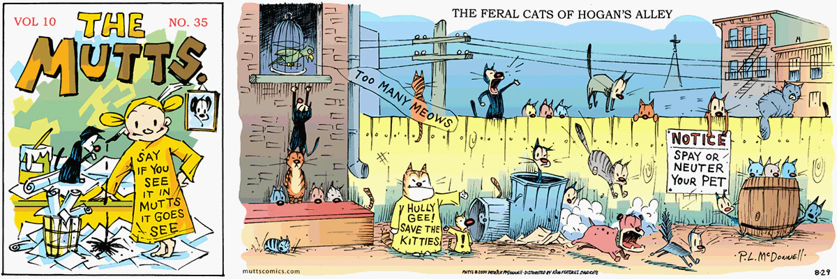 August 29 2004, Sunday Comic Strip