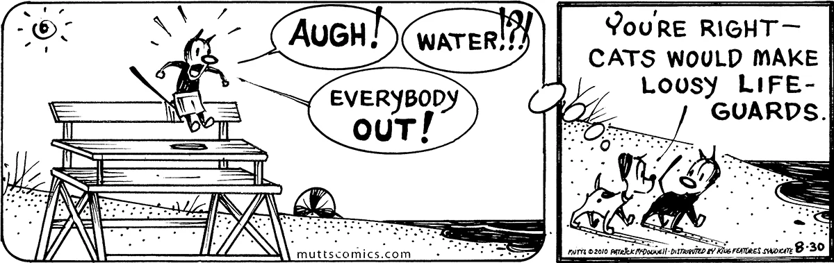 August 30 2010, Daily Comic Strip