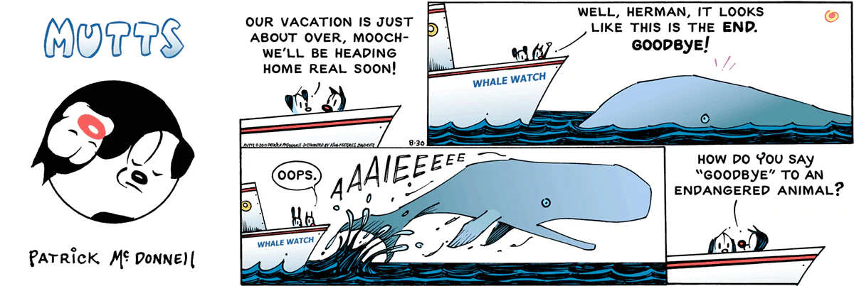 August 30 2015, Sunday Comic Strip