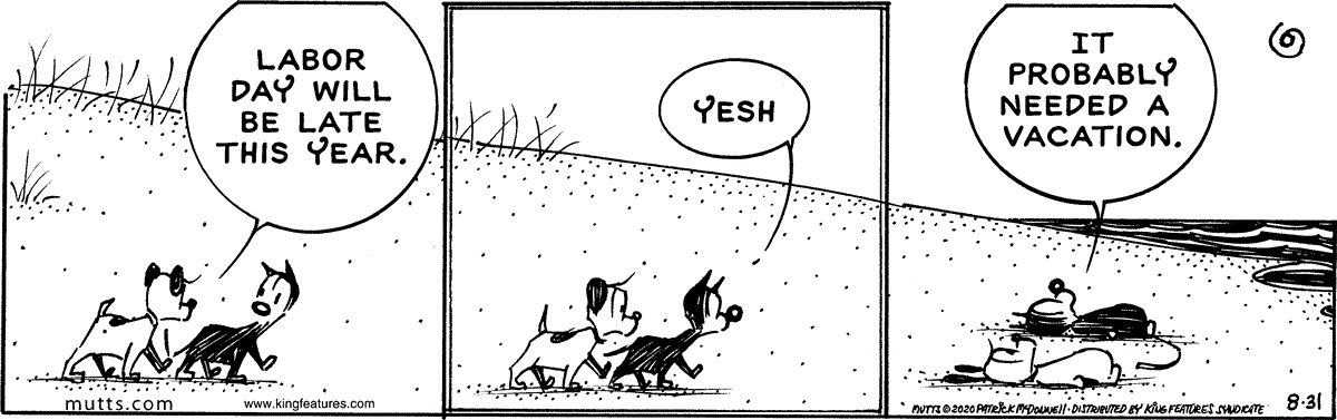 August 31 2020, Daily Comic Strip