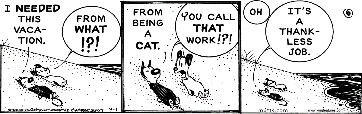 September 1 2021, Daily Comic Strip