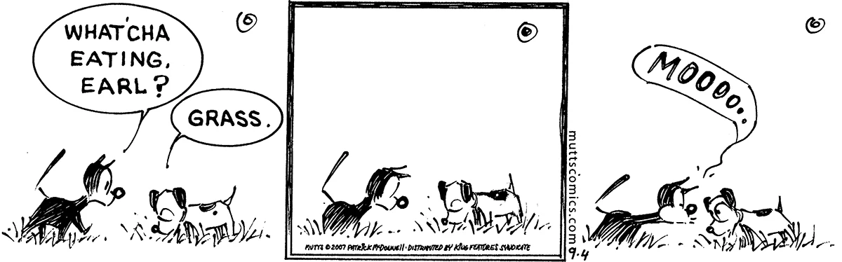 September 4 2007, Daily Comic Strip