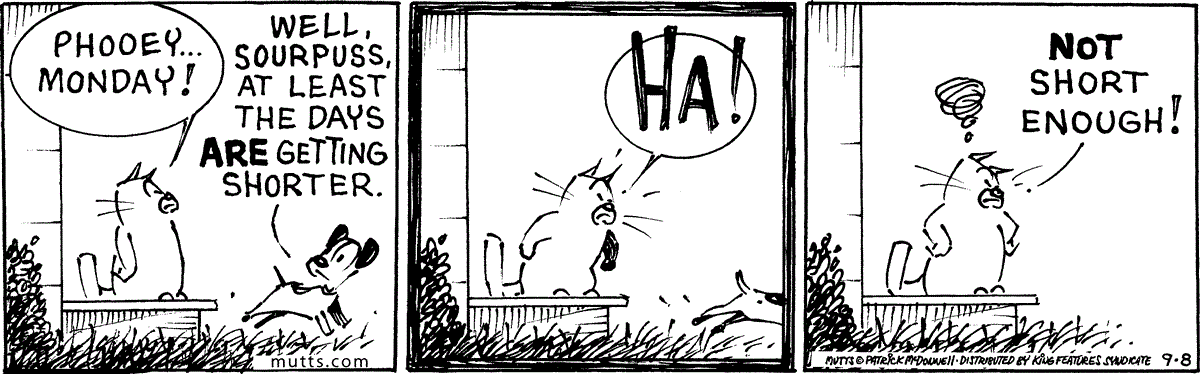 September 8 2025, Daily Comic Strip